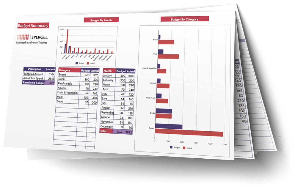 Grocery budget mockup