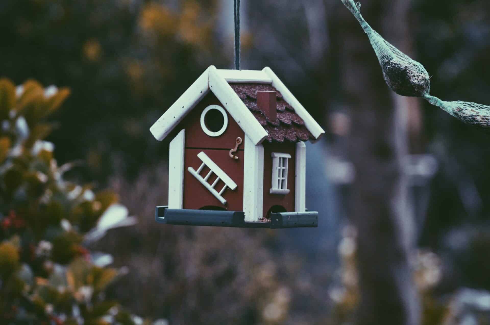 Rent assistance: what are my options?